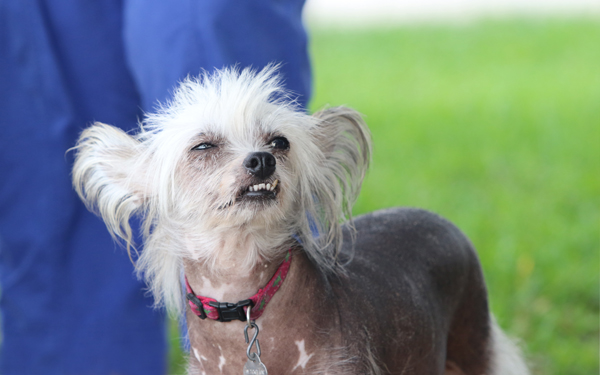 Johnny Cash & June Carter