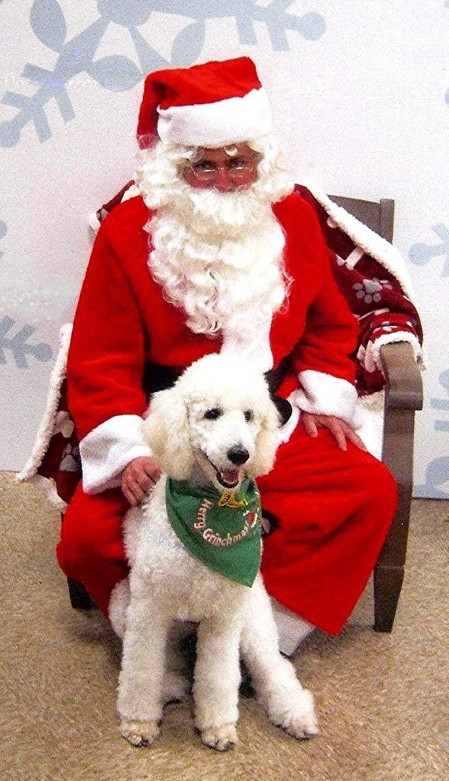 Vivian's Sugar Dar Popcorn and Santa