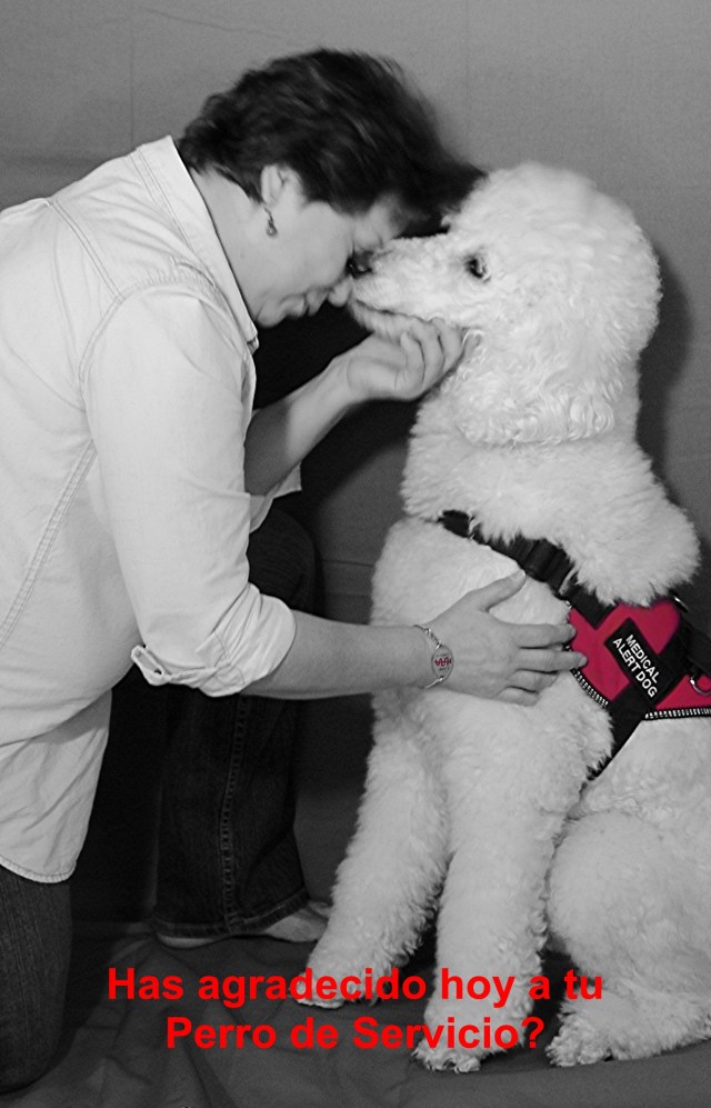 Vivian & her Sugar Dog Popcorn 