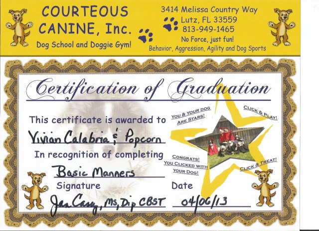 Popcorn's Basic Manners Certificate II
