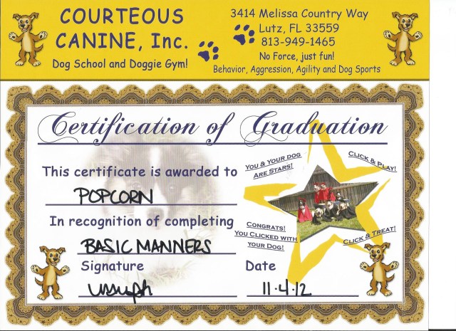 Popcorn's Basic Manners Certificate